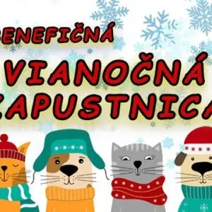 Vianočná kapustnica - Piatok 13.12.2024 - medzi 9:30-18:30