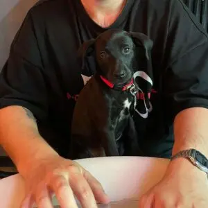 Sierra - adoptovaná