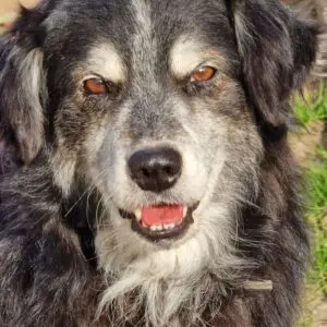 Riki - adoptovaný